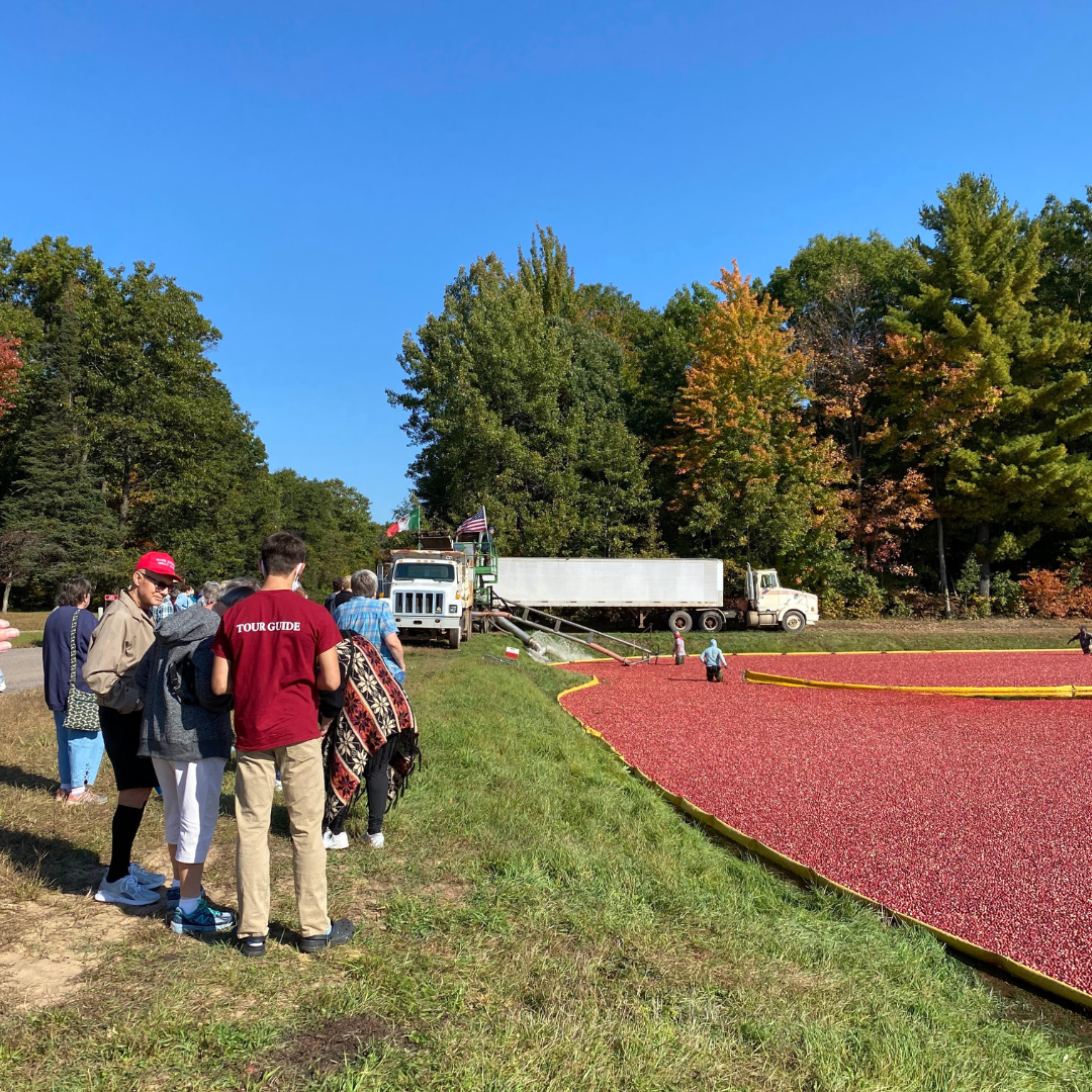 Cranberries — Wisconsin Rapids